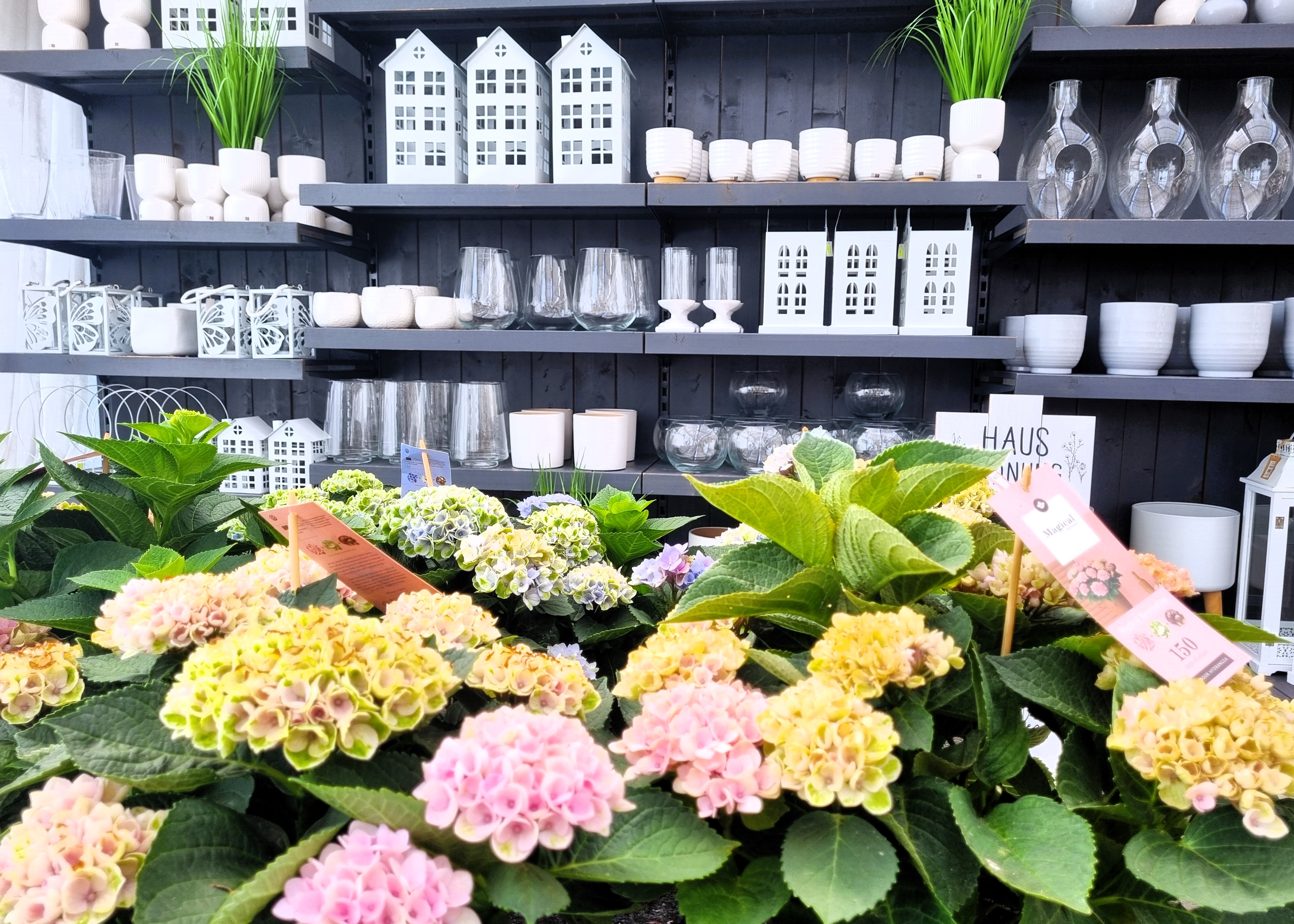 Monheimer Blumenmarkt